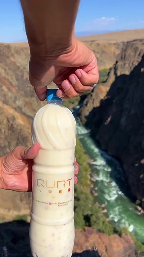 Exploring QURT: A Refreshing Drink for Celebrations