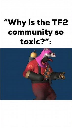 TF2 Community isn't Toxic