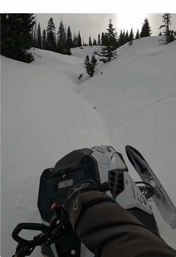 Trees Provide Essential Traction for Snowmobiles in Colorado