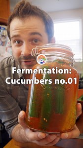 31K views · 292 reactions | Spicy Fermented Cucumbers 勒⬇️ A quick cucumber ferment with some local produce I got from the farmer’s market the other morning! Full recipe available on my substack page (link is in the bio) Jar: @kilneruk Nakiri : @blok_handcrafted Apron: @hedleyandbennett Wooden tools: @earlywooddesigns Boards @theboardsmith #asmrcooking #fermentation #fermented #lactofermentation #cucumbers #vegetarian #vegan #joeycooksfoods | joeycooksfoods | Facebook
