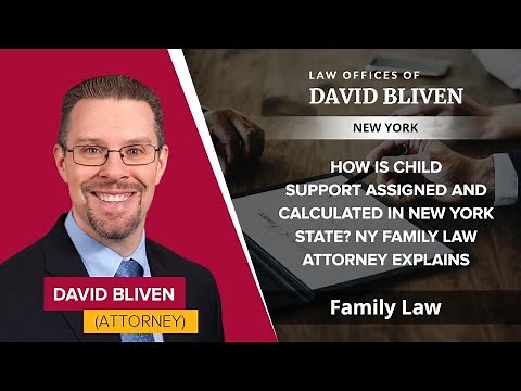How Is Child Support Assigned And Calculated In New York State?