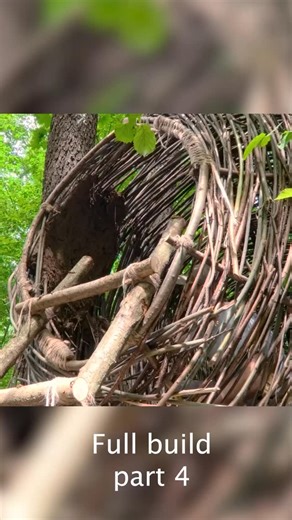MICHAEL on Instagram: "Building a large beehive on a tree Full build Part 4"