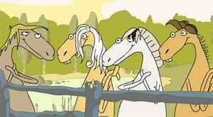 Horse orchestra | Online hra zdarma | Superhry.cz