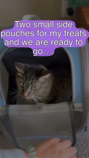 Cat backpack review #cat #catshorts #catvideos #cats #catlovers #cattoys #backpacking #hiking