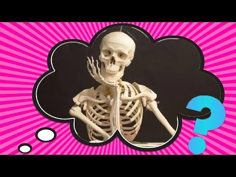 Why Don’t Bugs Eat People’s Bones?