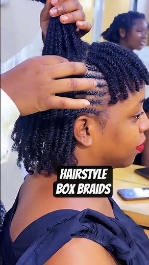 How To: Box Braids (EASY TUTORIAL)