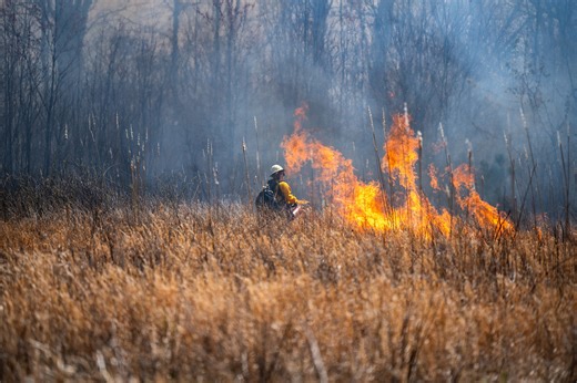 Arnold AFB Natural Resources Program conducts prescribed burns