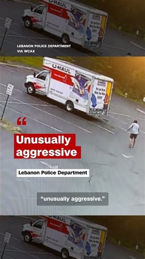 Mystery Animal Attacks Prompt Drone Search By New Hampshire Police