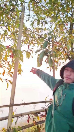 Esei skage bem2 😹 #funnyvideo