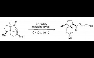 福山机理C027 通过羟醛缩合/Grob裂解实现螺环化合物acorenone B的全合成_哔哩哔哩_bilibili