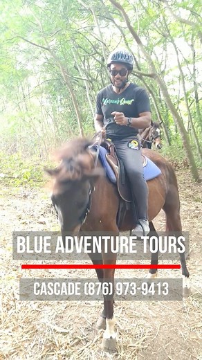 2.4K views · 28 reactions | At first it can seem a bit intimidating, however the horses take a very quick time to start bonding with guests. Location: Blue Adventure Tours, Cascade, St. Mary. Read FULL review: https://kareemsquest.com/blue-adventure-tours-a-thrilling-jamaican-experience/ | Pure Jamaica | Facebook