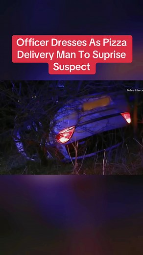 Officer Surprises Suspect Dressed as Pizza Delivery Man