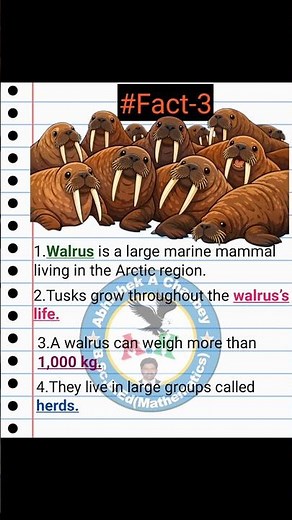 Facts about walrus