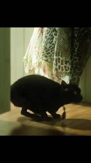 Recommended 🎬🎦🎥🍿 #movie #tvshow #series #shortfilm #films #bestfilm #movietime #movieclips #movienight #moviereview #fbreels #reelsvideo #reels2024 #reelsusa #FULLHD #Netflix #netflixseries #netflixmovies #netflixandchill #unitedkingdom #bestmovie2024 #bestmovie #bestmovielines #usa #bestmoviescene #unitedstates #hollywood #holiday #hulu #HBO