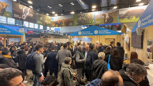 🐮 La région Auvergne-Rhône-Alpes aux côtés des agriculteurs au Salon International de l'Agriculture Terre d’agriculture, la Région Auvergne-Rhône-Alpes apporte son soutien aux agriculteurs lors du Salon International de l’Agriculture de Paris. 👉 Sur le stand régional, Fabrice Pannekoucke et Laurent Wauquiez ont mis à l’honneur, ce mercredi 26 février, huit lycées agricoles en leur remettant la traditionnelle cloche régionale, un geste symbolique qui vise à valoriser l’enseignement agricole et 
