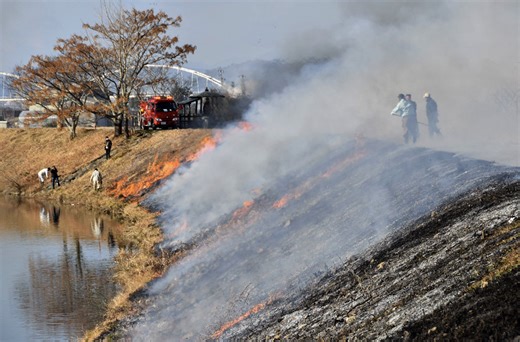 【動画あり】春呼ぶ炎と煙、これが見納め　高知県南国市の国分川で最後の芝焼き | 高知新聞