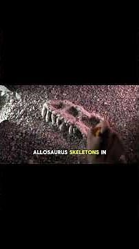 Allosaurus | The True King before T. Rex