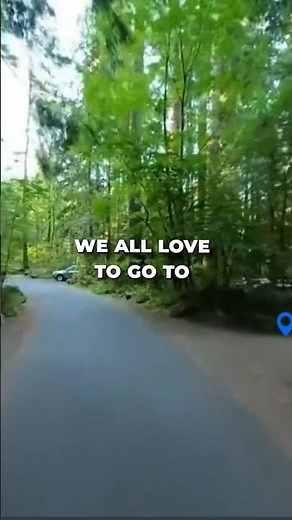 Rainbow Springs: A Florida Must-See