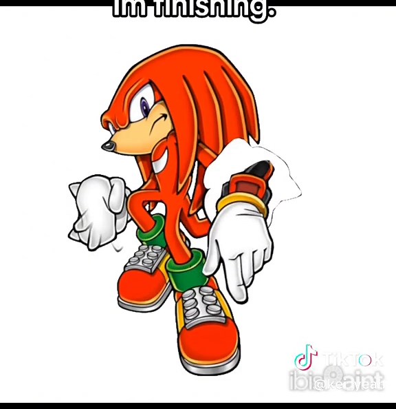 Shadow and Knuckles: The Power of Shippers
