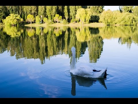 Laura Hackett // Soaking Worship