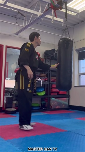 10 Jumping Back Kick Challenge with Hanging Bag