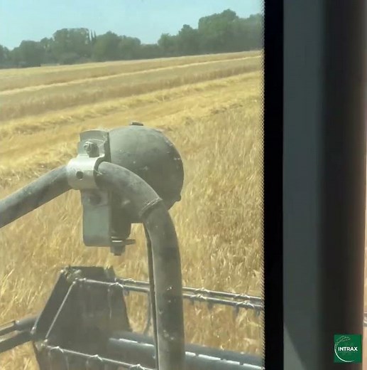 Moissons avec GPS Sveaverken : autoguidage sur moissonneuses Massey Ferguson, Claas, New Holland.