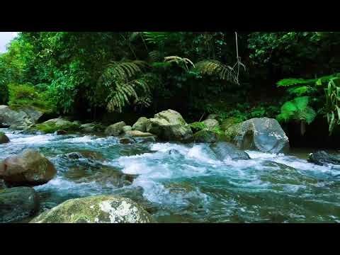 Deep Sleep River Sounds for Insomnia Relief | Fast Sleep & Anxiety Healing