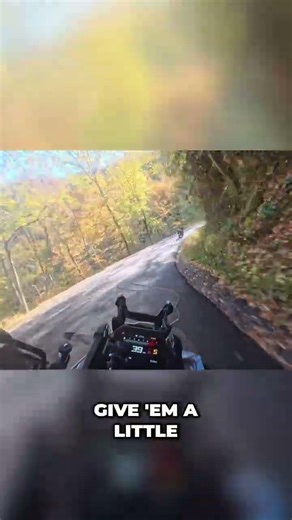 Motorcycle Rider Showcases Skills on Forest Road #shorts