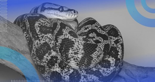 Guide to Python Logging | Built In