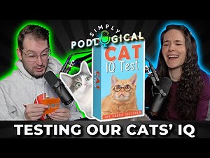 How Smart Are Our Cats? (Cat IQ Test) - SimplyPodLogical #138