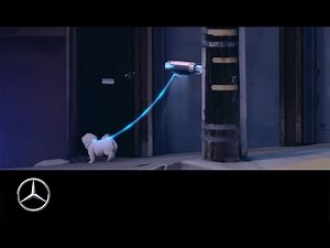 Der F 015 Luxury in Motion Spot „Dogwalker“. Happy Back to the Future Day