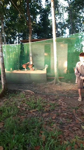 Keep a healthy body by dancing #healthybodychallenge #viralchallenge @highlight | Marites M. Navarez Llanto