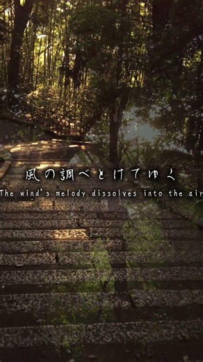 【 古風 曲 】 風の記憶 The Wind Remembers - Zero Error