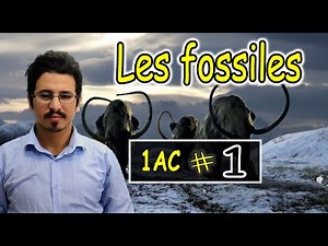L’importance des fossiles ( la fossilisation ) -1AC - Part.1 شرح بالدرجة