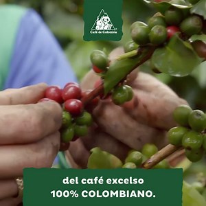 El café 100% colombiano es un mundo lleno de dedicación y sabiduría, producido por más de 540 mil familias caficultoras. Síguenos y descúbrelo. ☕🇨🇴 | Café de Colombia