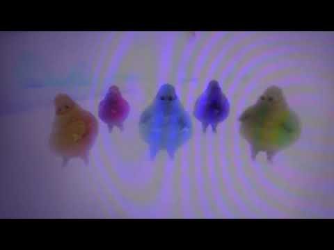 The Boohbahs Twist To Animal Behavior End Credits