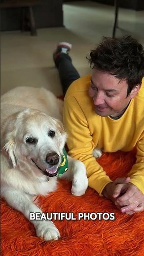 Jimmy Fallon mourns death of his beloved dog Gary #jimmyfallon #celebritypets