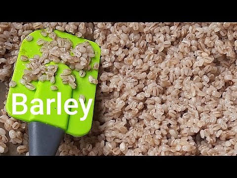 How to Cook Barley in 10 Minutes! (without Pressure Cooker)