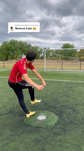 6.6K views · 16 reactions | Reply to Reversed Results  #reversed #revers #sataisfying | Scott Basnight | Facebook