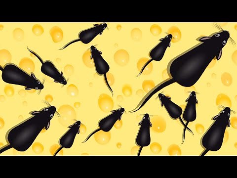 Cat Games Catching Rat 🐁 Cat Toy On Screen 🐁 Videos For Cats To Watch