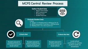 What is the Grade 3 Central Review Process for Literacy Enrichment?