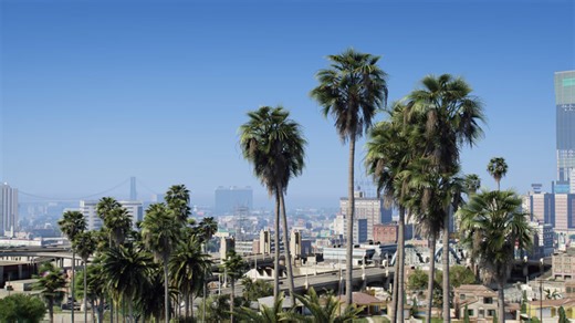 NaturalVision Evolved Beta Release