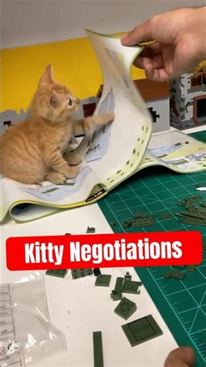 Kitty Negotiations 🐈