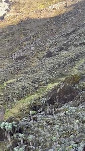 4.3K views · 74 reactions | This is me and my guide Chomoa Ile taabu...