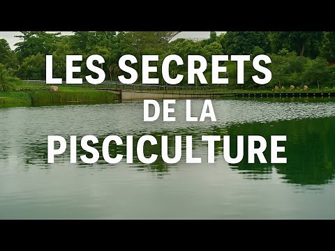 Les Secrets de la Pisciculture Révélés : Comment Commencer en 2025