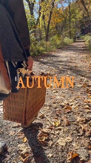 🍂🧺Fall Sundays are for picnics. Made perfect by @gardnerswisconsincheese 🧀 So many delicious cheeses and artisan meats. Even a 17-year-old cheddar, the oldest I’ve ever tried 🤩 #FallPicnic #CozySeason #CheeseLovers #WisconsinCheese #ArtisanCheese #CharcuterieLove #AutumnVibes #SundayFunday #GourmetEats #cheeseboardgoals #michiganeats #annarboreats | hungry.peem