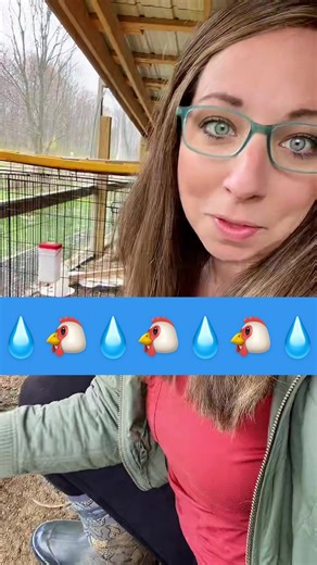 Essential Tips for Keeping Chicken Water Clean