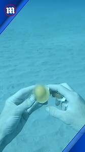 There’s something weirdly satisfying about this! 😌 | Daily Mail Video