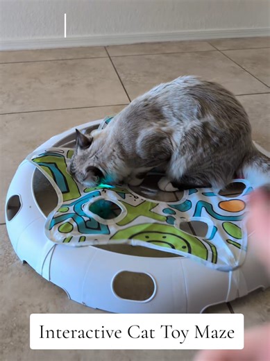 Interactive Handsfree Cat Toy with Rechargeable Ball 🐈 My cats love this toy so much. it is hours of fun and it keeps their brains and bodies moving and it's completely safe! #cattoys #cat #catplaying #tiktokshopcreatorpicks #TikTokShopJumpstartSale