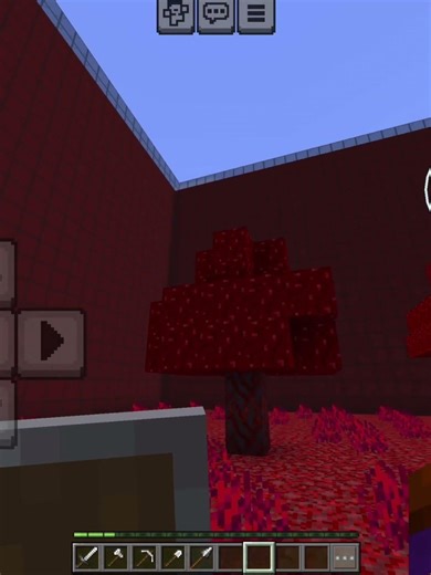 POV: You go to the Nether only to realize you never went #shorts #minecraft #moments #funny